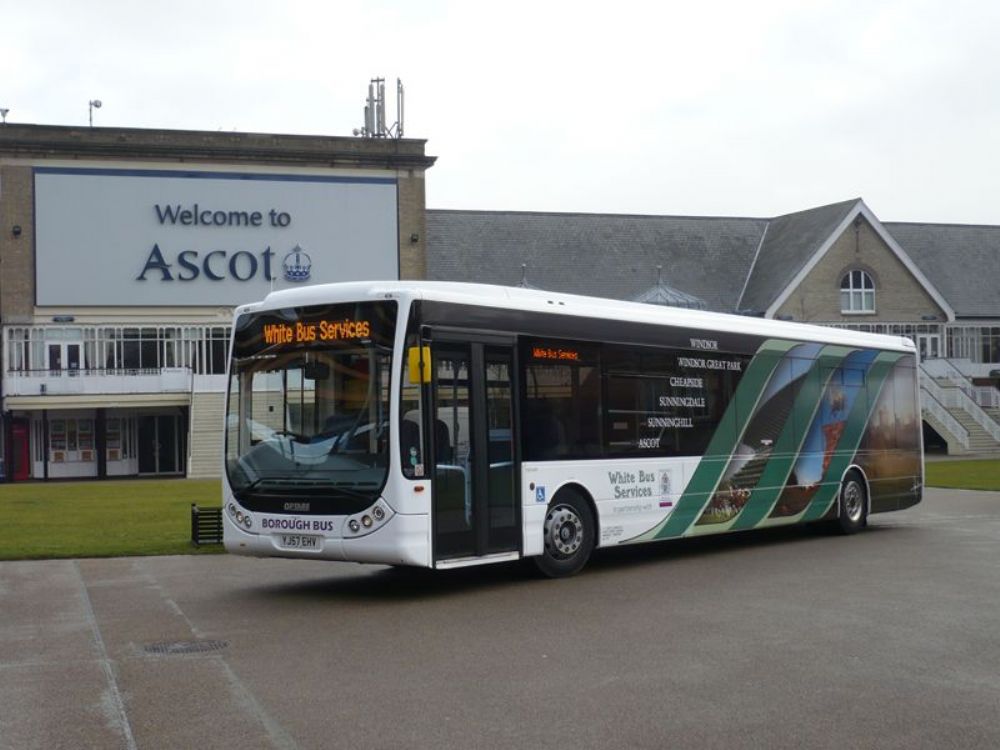 WBS Bus Ascot New.jpg